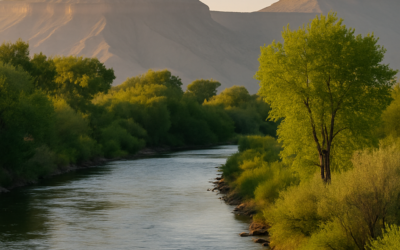Community First: Cory Thompson’s Commitment to Service in Western Colorado